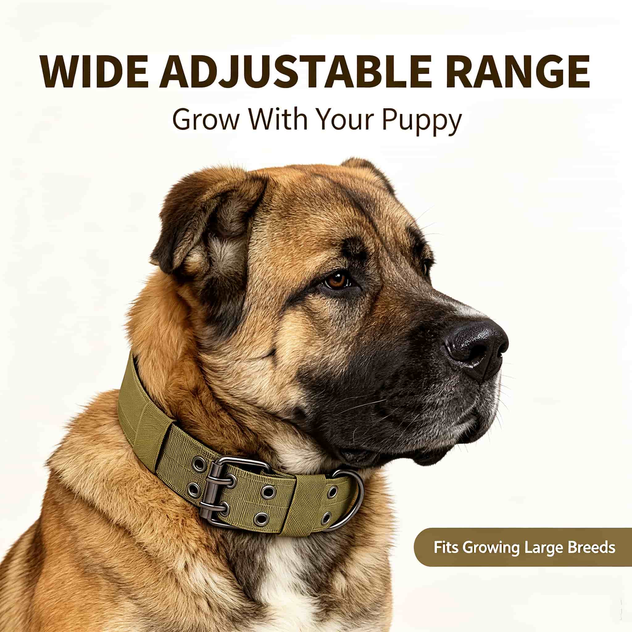 Outdoor Hunting Dog Collar - Taktisches Hundehalsband in Camouflage-Optik, strapazierfähiges Nylon,