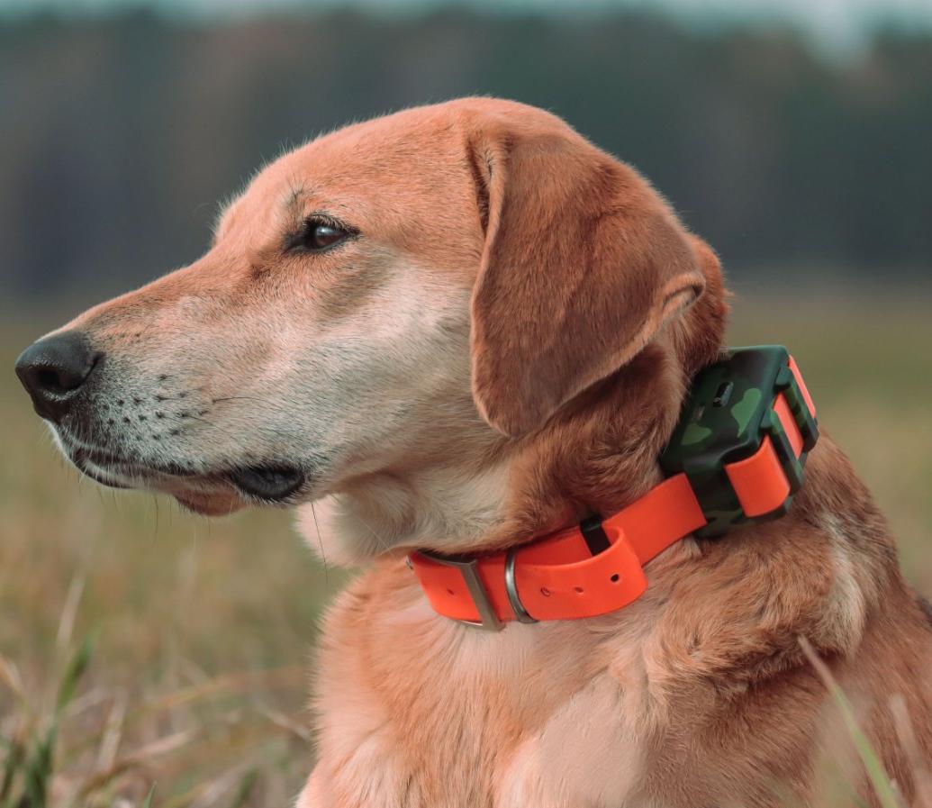 Outdoor Hunting Dog Collar - IP68 Wasserdichter Ortungsgerät für Jagdhunde Outdoor-Waldjagd