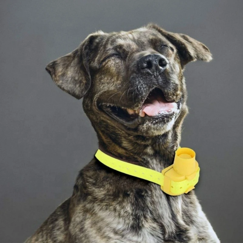 Outdoor Hunting Dog Collar - Aktualisierte Outdoor-Hundepeiler-Halsbänder, Wasserdichter Buzzer-Tracker, 8 Modi
