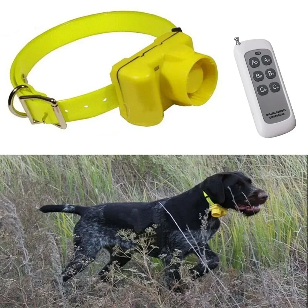 CC-PetPulse Outdoor Wasserdich – Outdoor Hunting Dog Collar Bewertung und Preis