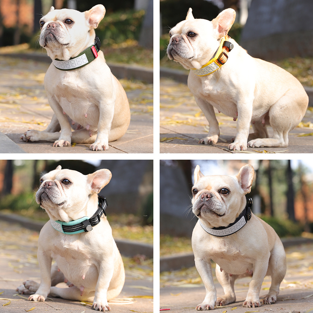 Reflektierendes Outdoor-Hundeh – Outdoor Hunting Dog Collar Bewertung und Preis