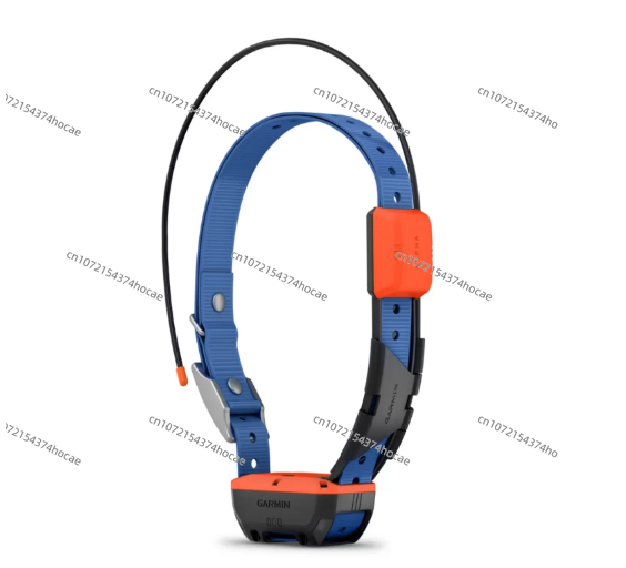 Outdoor-Gerät zur Haustierortu – Outdoor Hunting Dog Collar Bewertung und Preis