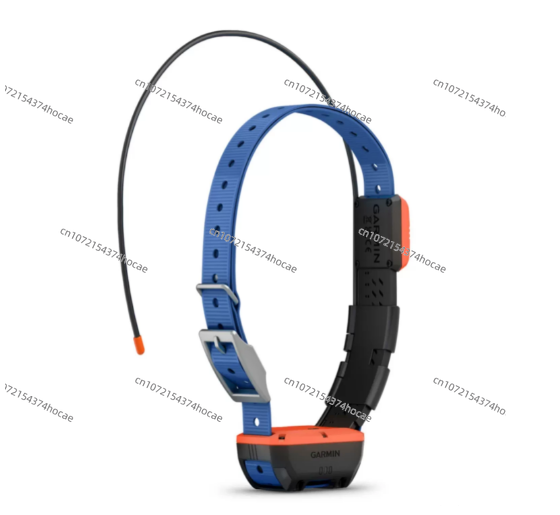 Outdoor-Gerät zur Haustierortu – Outdoor Hunting Dog Collar Bewertung und Preis