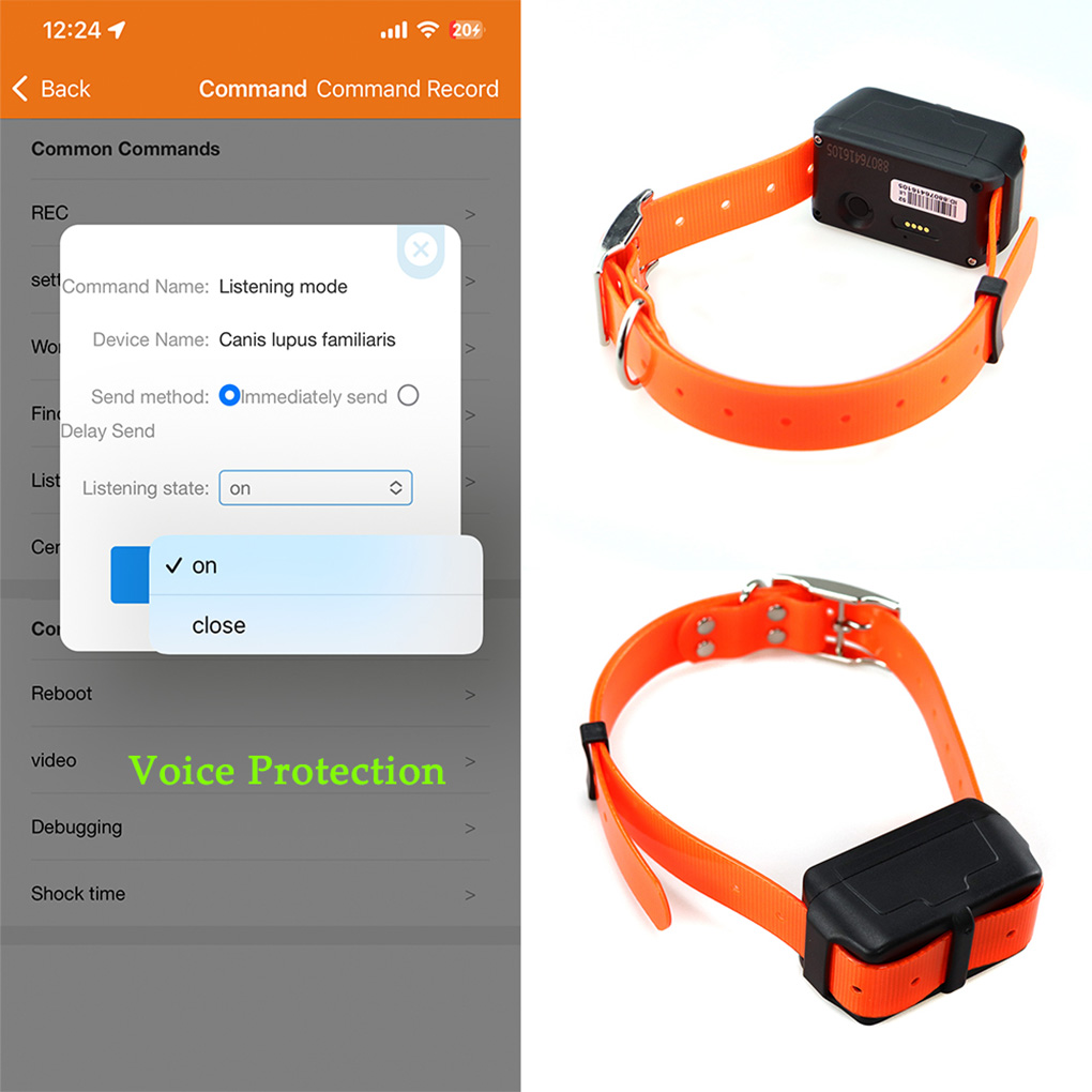 CY09A Tragbarer Haustier-GPS-T – Outdoor Hunting Dog Collar Bewertung und Preis