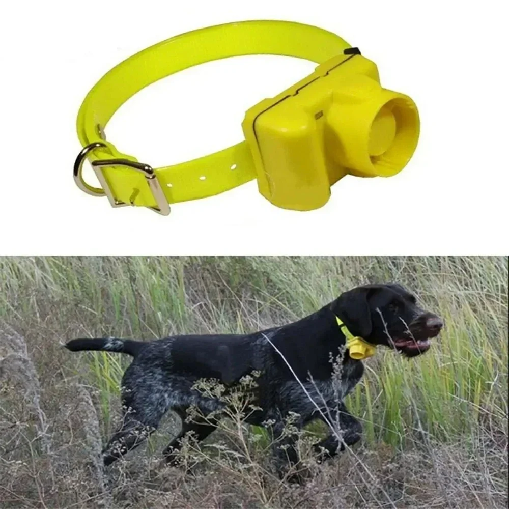 Aktualisierte Outdoor-Halsbänd – Outdoor Hunting Dog Collar Bewertung und Preis