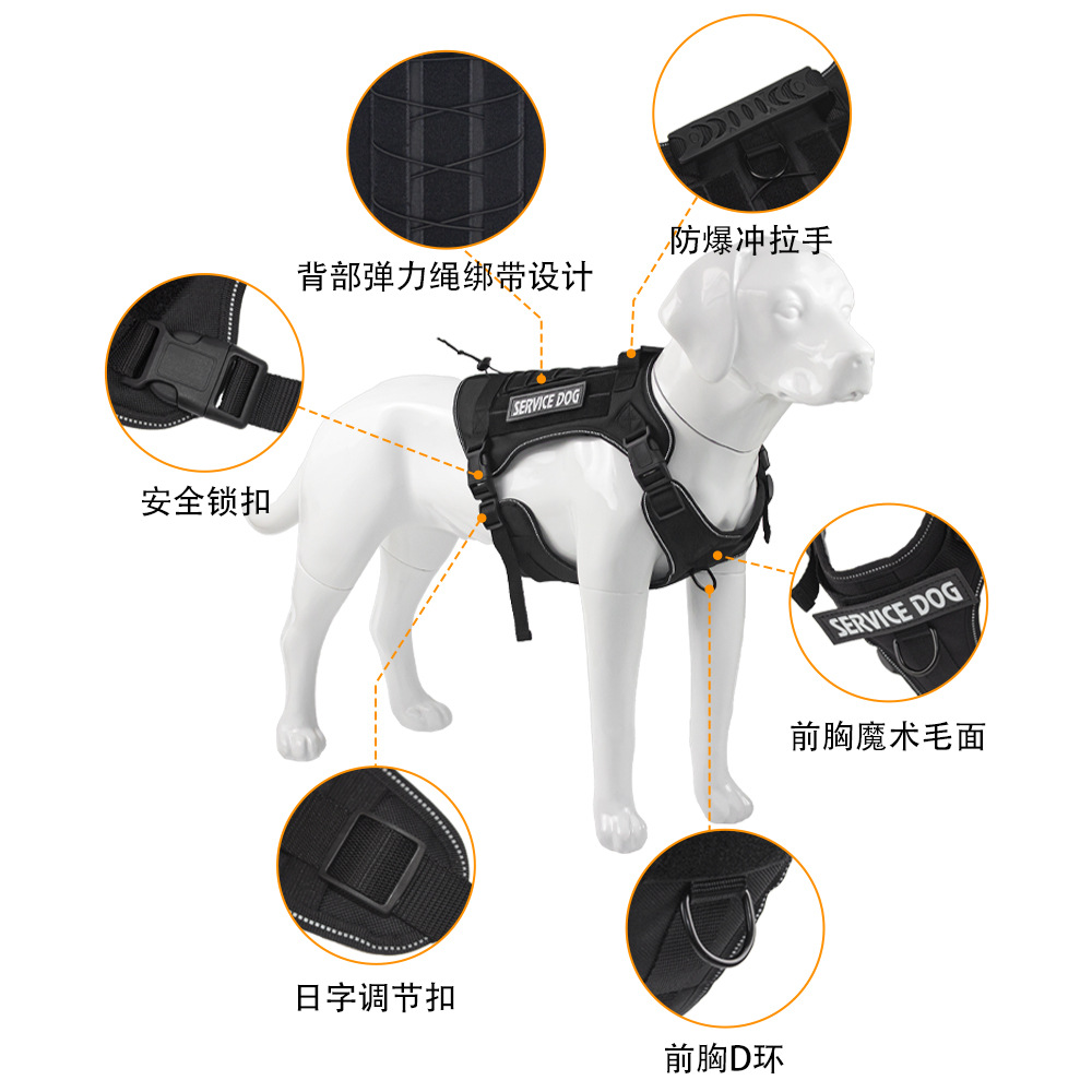 Taktisches No-Pull-Hundegeschi – Outdoor Hunting Dog Collar Bewertung und Preis