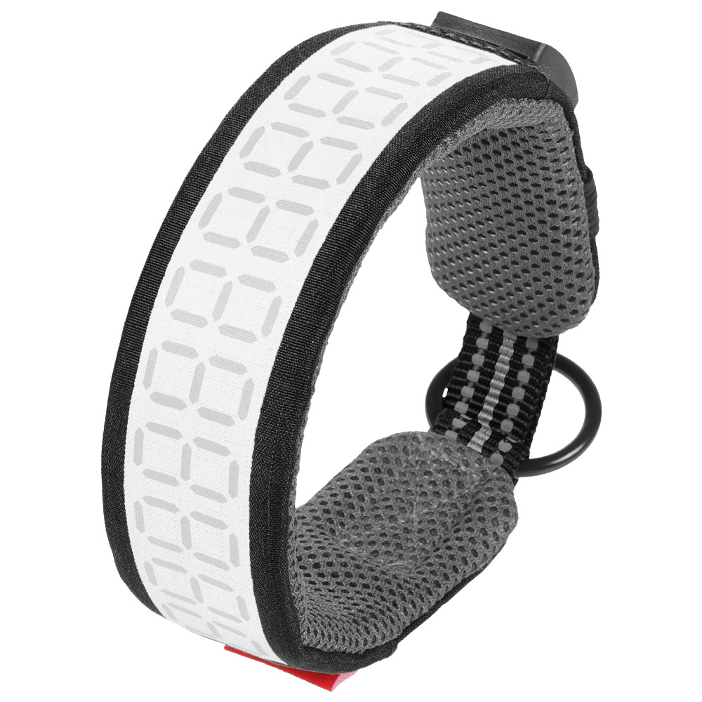 Reflektierendes Hundehalsband  – Outdoor Hunting Dog Collar Bewertung und Preis
