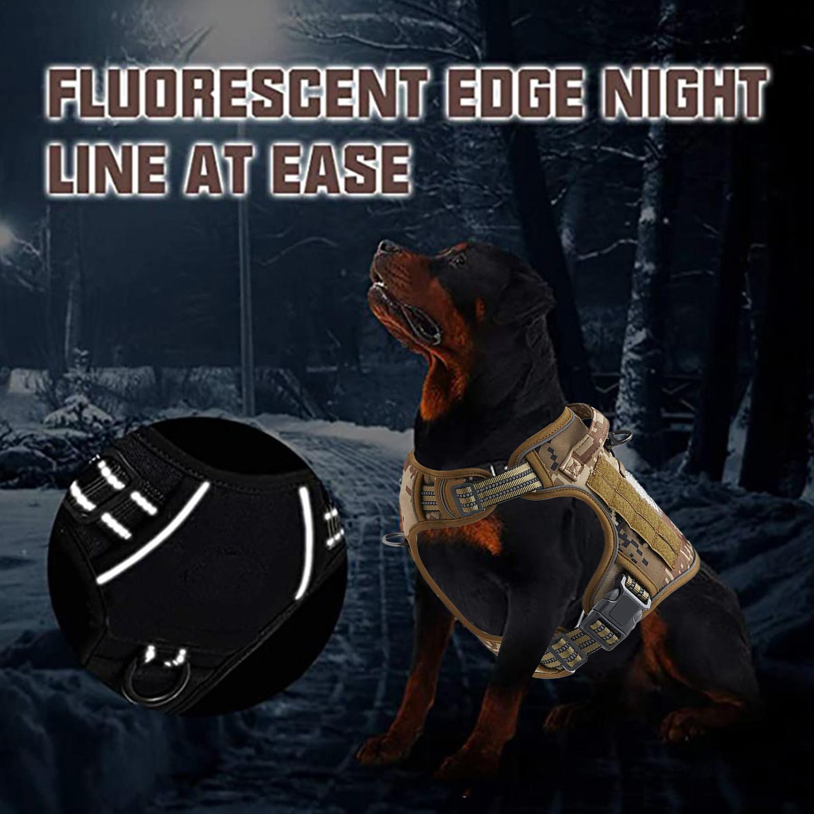 Hundegeschirr, Metallschnalle, – Outdoor Hunting Dog Collar Bewertung und Preis