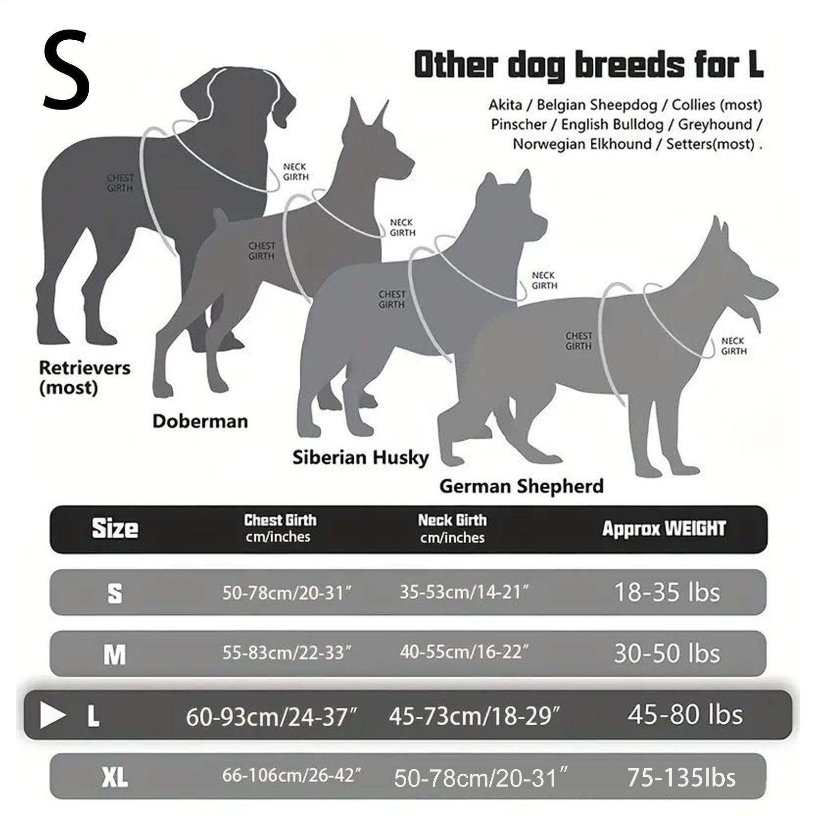 Hundegeschirr, Metallschnalle, – Outdoor Hunting Dog Collar Bewertung und Preis