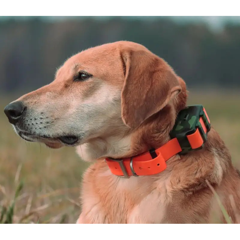 ICAR IK122M 2000mAh Halsband 4 – Outdoor Hunting Dog Collar Bewertung und Preis