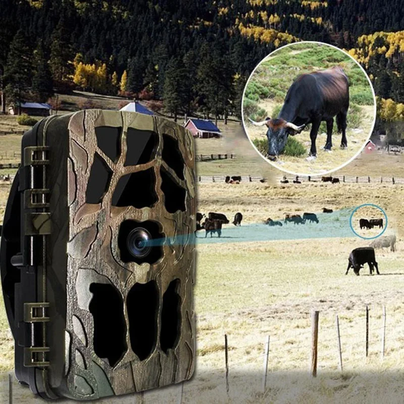 H982 IP66 Wasserdichte 4K Outd – Outdoor Hunting Videos Bewertung und Preis