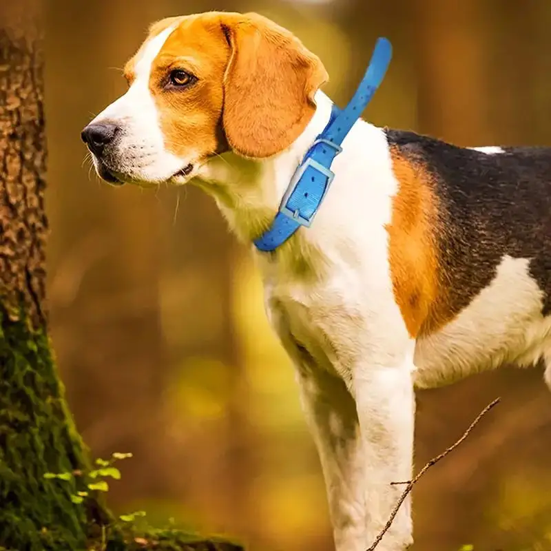 TPU Outdoor Haustier Sicherhei – Outdoor Hunting Dog Collar Bewertung und Preis