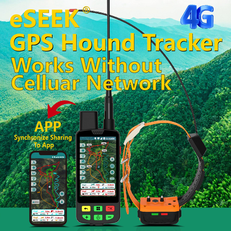 Großhandel 4G GPS Hundehalsban – Outdoor Hunting Dog Collar Bewertung und Preis