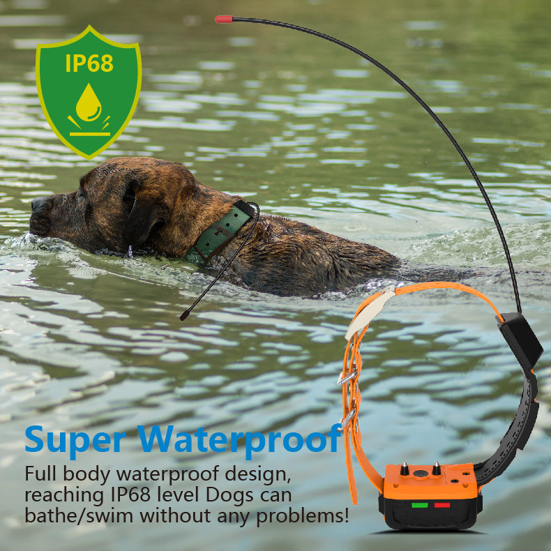 Großhandel 4G GPS Hundehalsban – Outdoor Hunting Dog Collar Bewertung und Preis