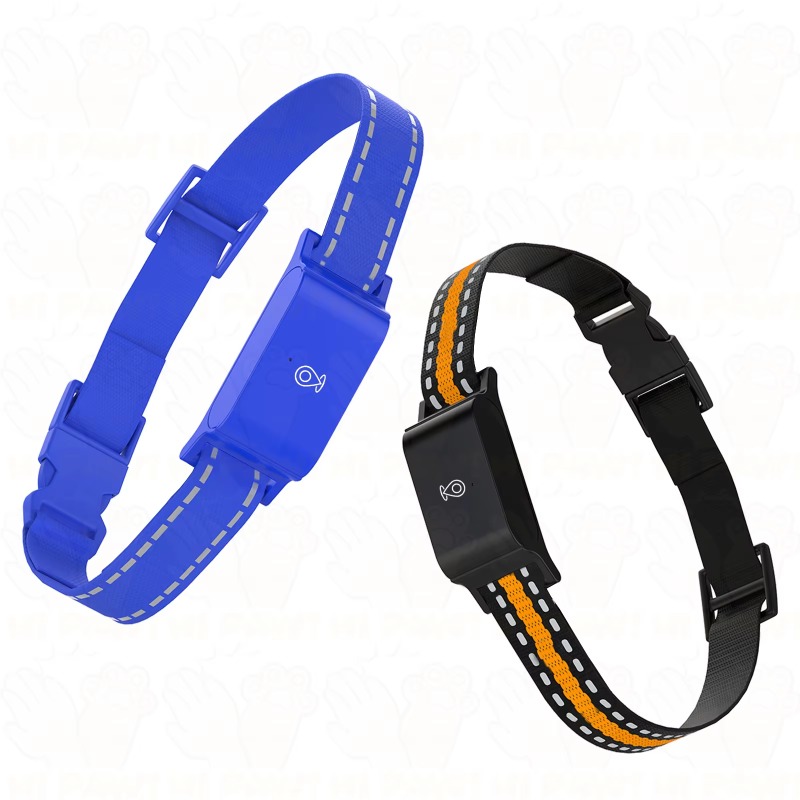 Hunde-GPS-Tracker für Outdoor, – Outdoor Hunting Dog Collar Bewertung und Preis