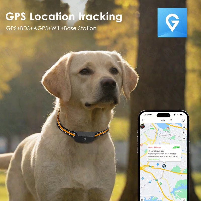 Hunde-GPS-Tracker für Outdoor, – Outdoor Hunting Dog Collar Bewertung und Preis