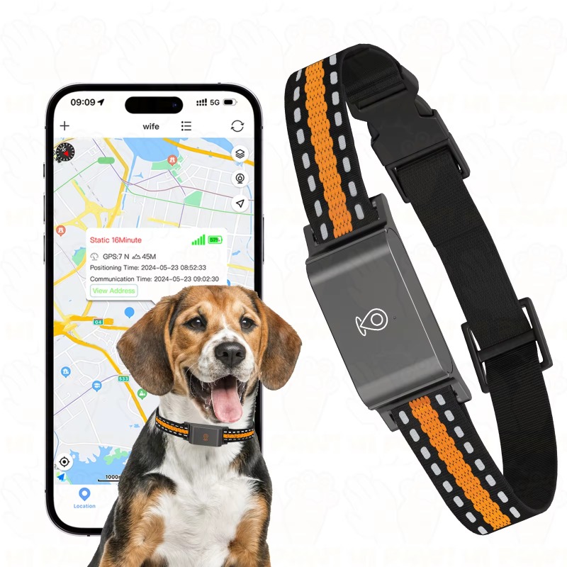 Hunde-GPS-Tracker für Outdoor, – Outdoor Hunting Dog Collar Bewertung und Preis